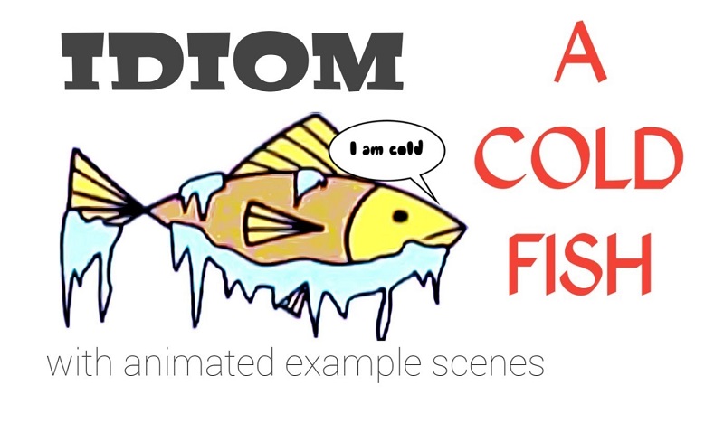 25 Idioms miêu tả người trong IELTS Speaking - Cold fish