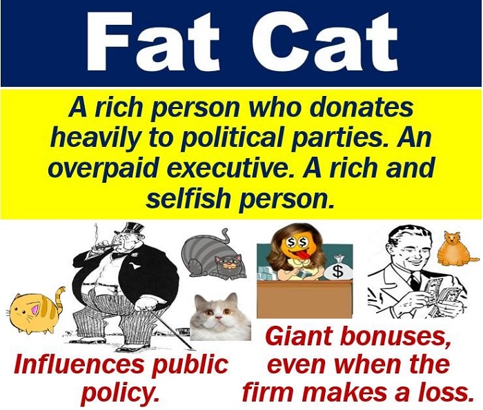 25 Idioms miêu tả người trong IELTS Speaking - Fat cat 