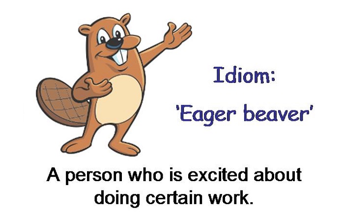 25 Idioms miêu tả người trong IELTS Speaking - An Eager beaver