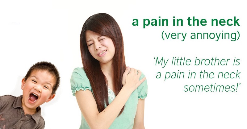 25 Idioms miêu tả người trong IELTS Speaking - Pain in the neck