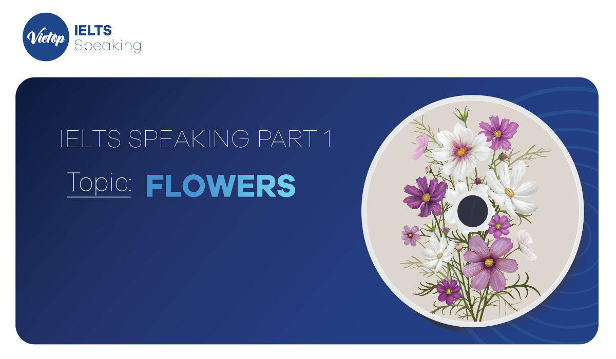 Topic “Flowers” – Bài mẫu IELTS Speaking Part 1