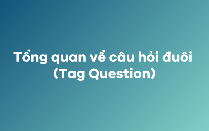 Tổng quan về Tag Question