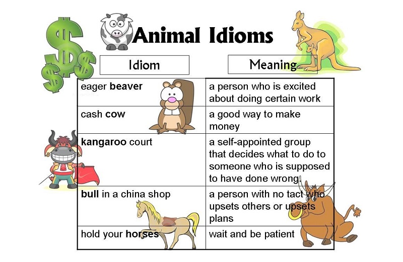 Idioms liên quan đến động vật