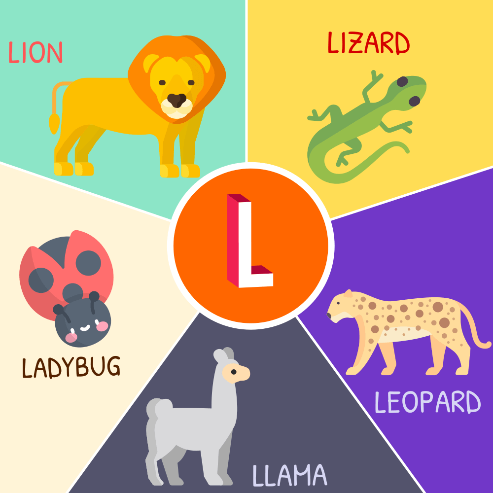 Tên các con vật bằng tiếng Anh bắt đầu bằng chữ L