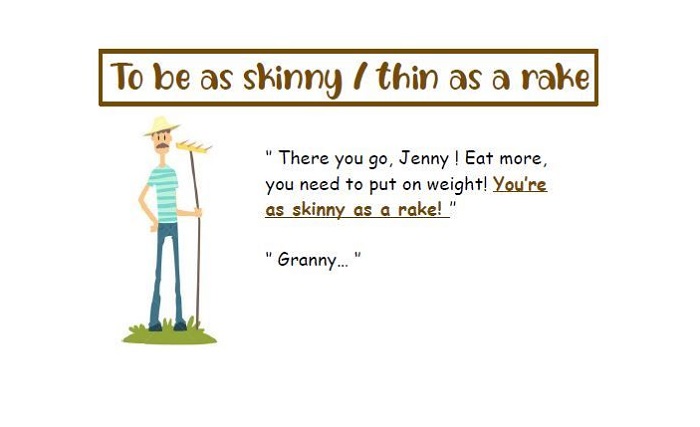(to be) as skinny as a rake