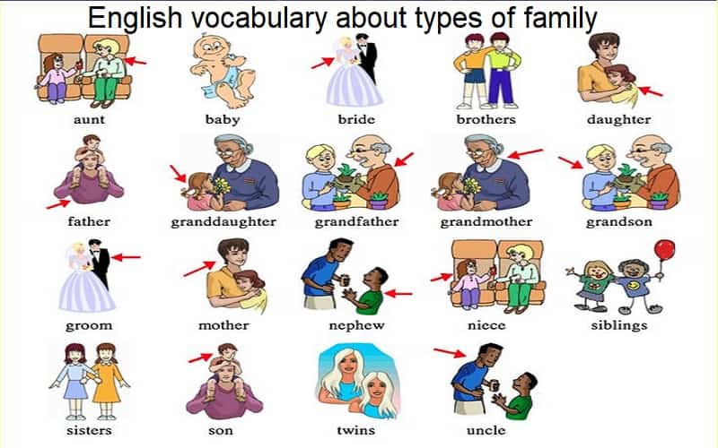 từ vựng tiếng Anh về gia đình và các loại hình gia đình