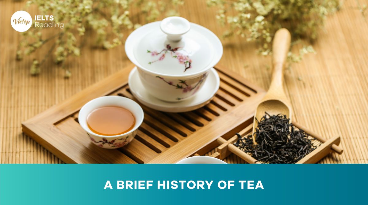 Reading Practice: A Brief History of Tea