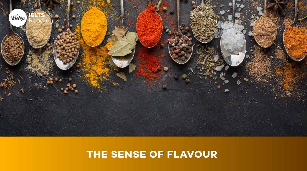 Reading Practice: The sense of flavour