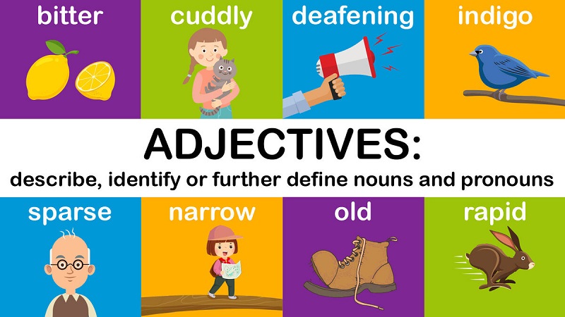 Phân biệt Adverb and Adjective (Trạng từ và Tính từ)