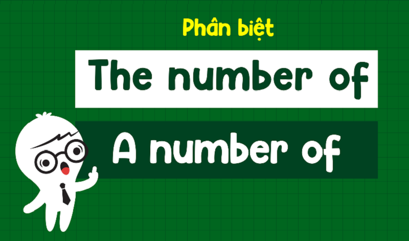 Phân biệt The number of và A number of