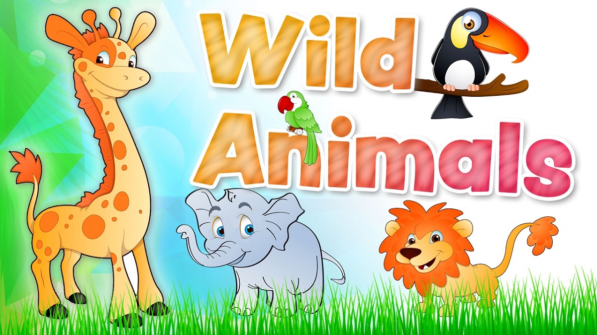 Từ vựng về động vật hoang dã (Vocabulary of wild animals)