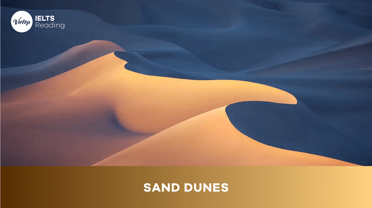 Reading Practice Sand Dunes