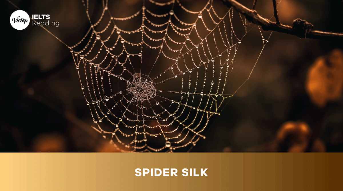 Reading Practice Spider silk 