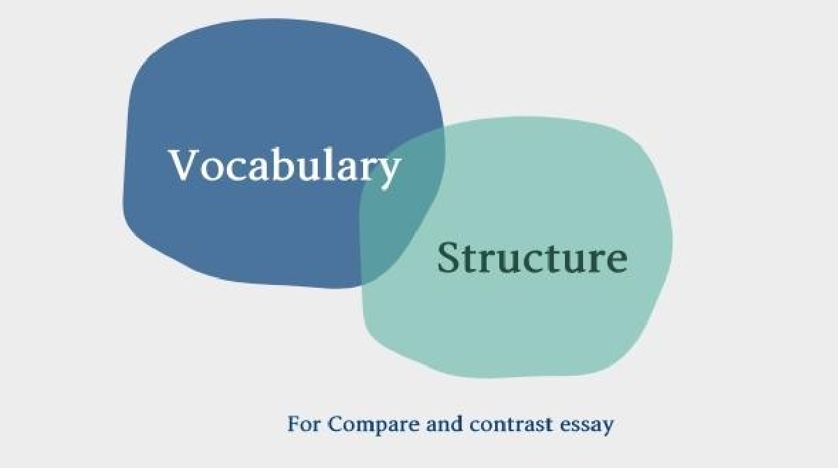 Các từ vựng và cấu trúc thường dùng trong Compare and Contrast Essay