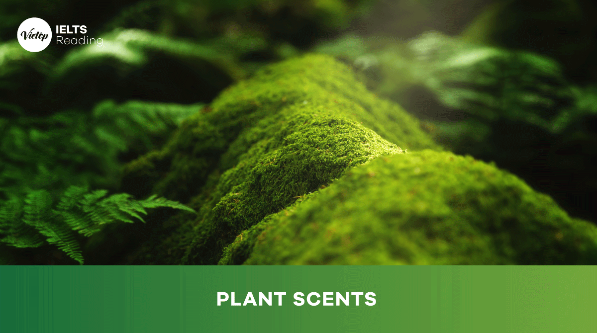 Reading Practice Plant scents