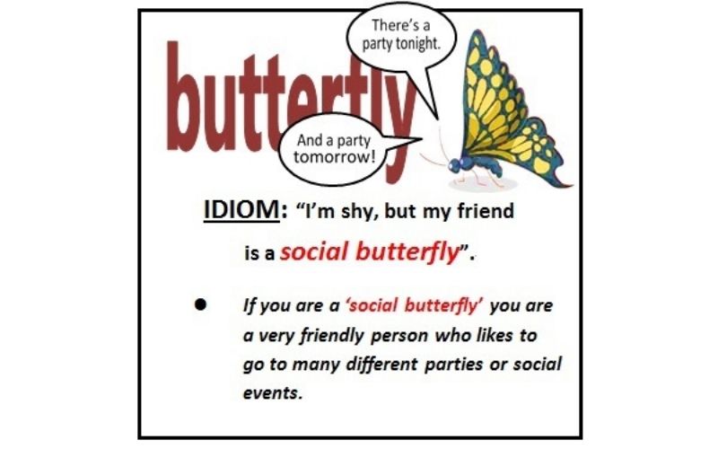 25 Idioms miêu tả người trong IELTS Speaking - Social butterfly