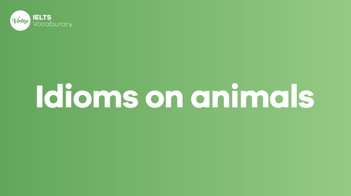 Tổng hợp Idioms on animals phổ biến