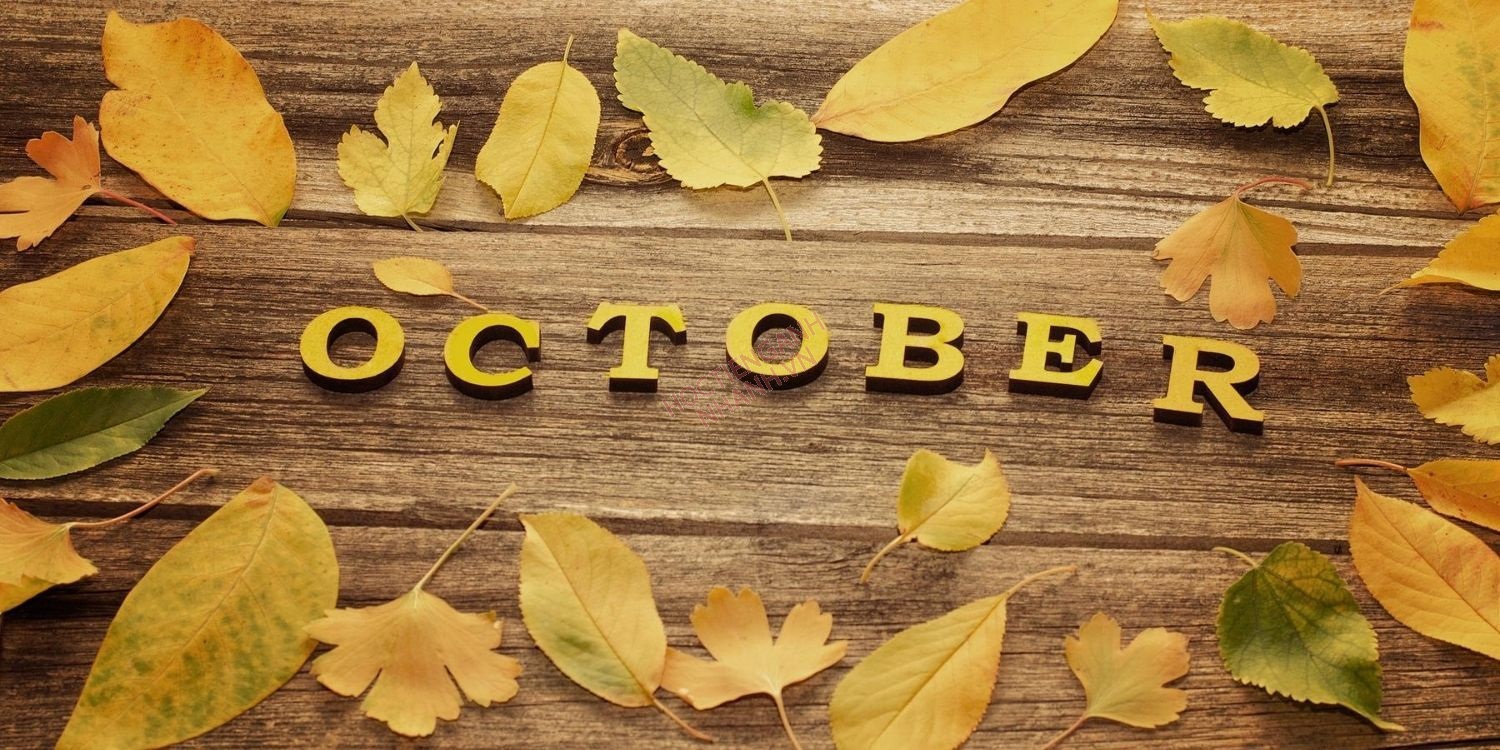 Cách sử dụng October ở trong câu