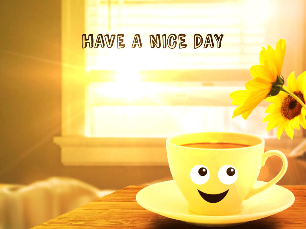 Have a nice day nghĩa là gì