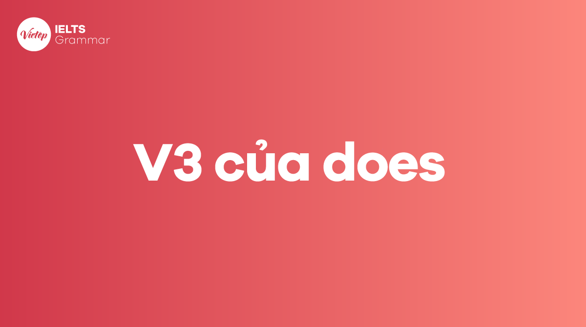 V2, V3 của does là gì