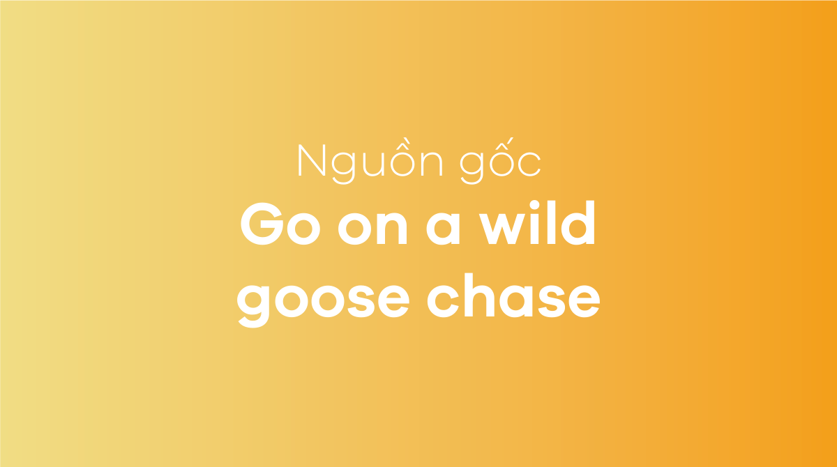 Go on a wild goose chase