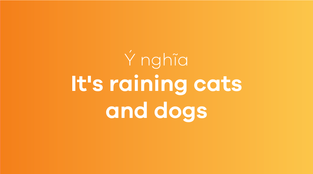 It's raining cats and dogs