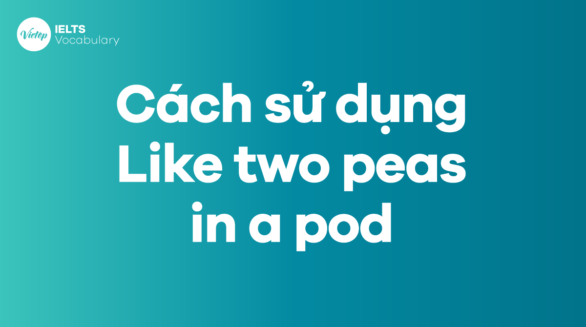 Cách sử dụng Idiom Like two peas in a pod