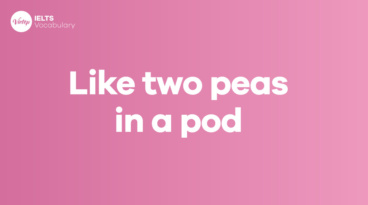 Like two peas in a pod là gì? Ý nghĩa và cách dùng
