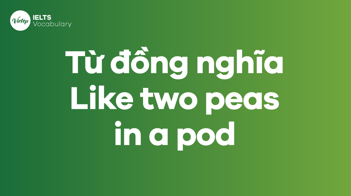 Những từ, cụm từ đồng nghĩa với thành ngữ Like two peas in a pod
