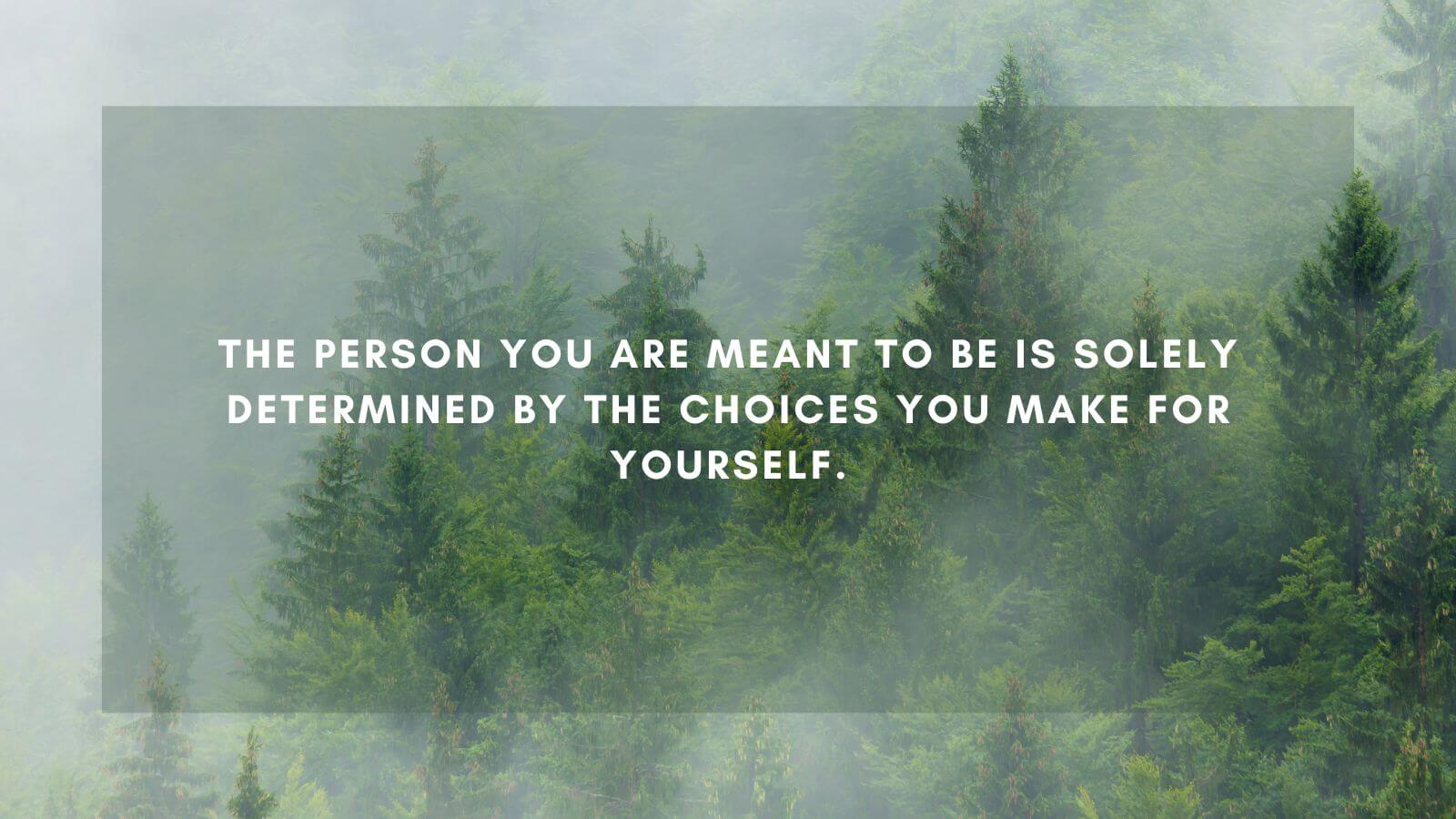 The person you are meant to be is solely determined by the choices you make for yourself.