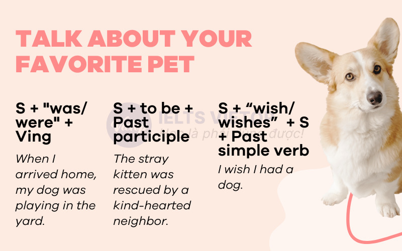 Cấu trúc sử dụng cho chủ đề talk about your favorite pet