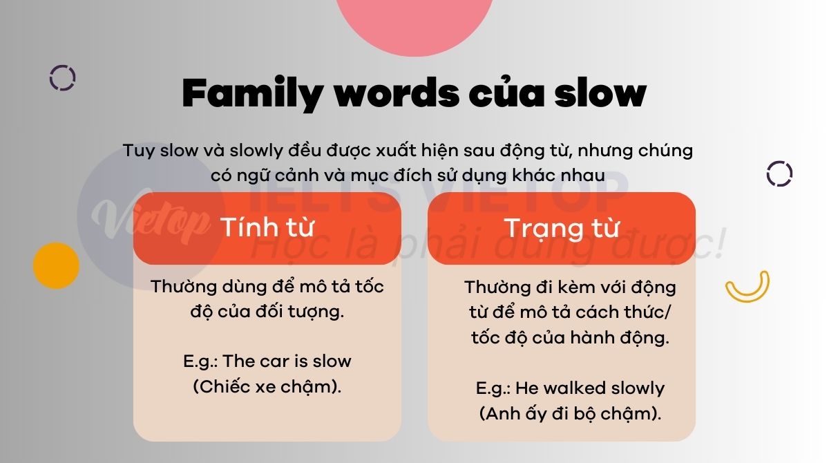 Family words của slow