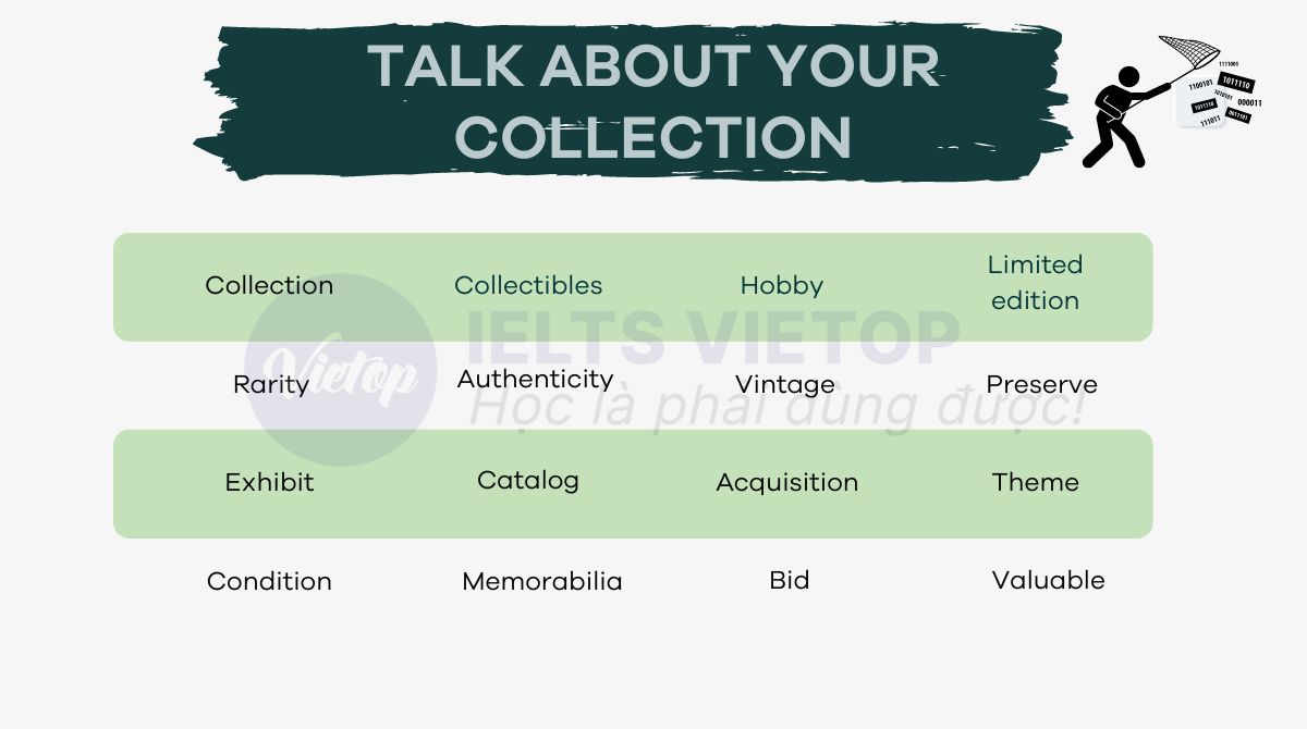 Từ vựng chủ đề talk about your collection